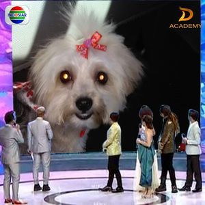 Meet your Posher, Ana